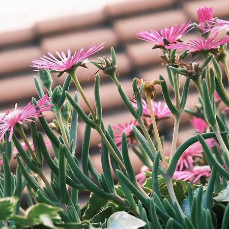 Comecasa Flowery Terraced Apartment Mediolan Zewnętrze zdjęcie